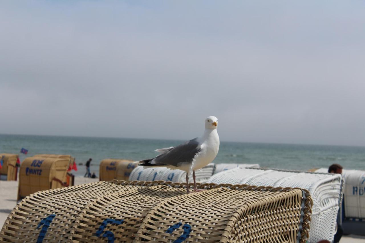 Ferienwohnungen Im Haus Strandburg グレーミッツ エクステリア 写真