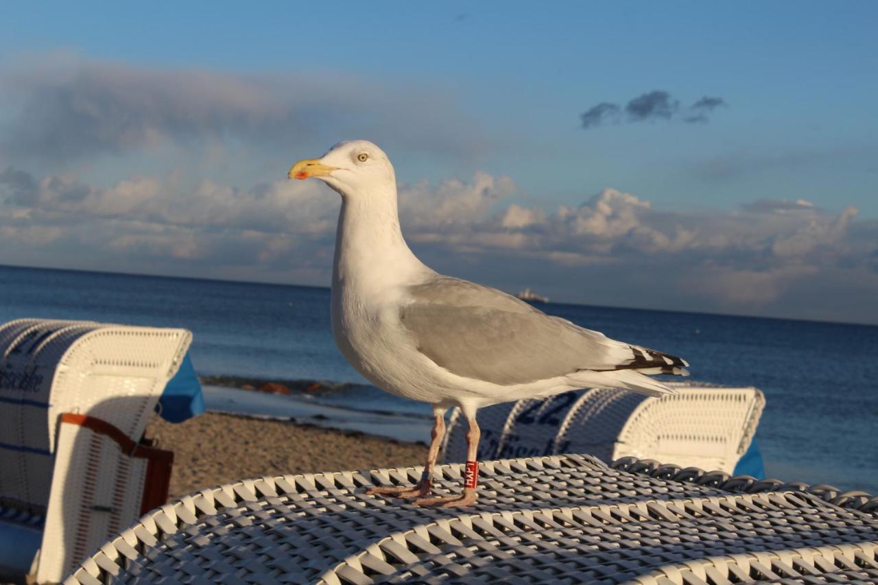 Ferienwohnungen Im Haus Strandburg グレーミッツ エクステリア 写真
